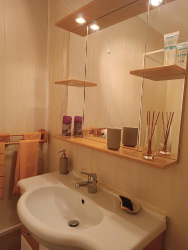 une salle de bain avec un lavabo et un miroir dans l'établissement Au Chat Perché, à Aix-la-Fayette