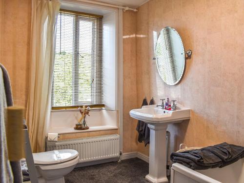 W łazience znajduje się umywalka, toaleta i lustro. w obiekcie Beeswax Cottage w mieście Dalton-in-Furness
