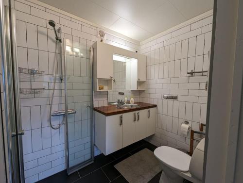 La salle de bains est pourvue de toilettes, d'une douche et d'un lavabo. dans l'établissement Hardangerfjord view 1, à Kvam