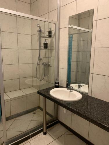 a bathroom with a sink and a shower at Hotel Pension Casa Africana in Windhoek
