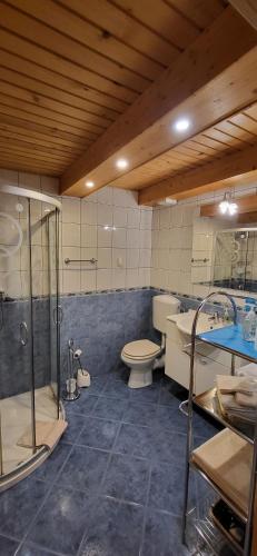a bathroom with a shower and a toilet and a sink at Apartments Oman in Kranjska Gora