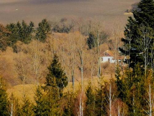 a house in the middle of a forest of trees at Romantická Chalupa Louka in Louka
