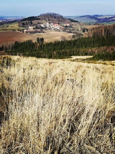 a field of tall grass with a town in the background at Romantická Chalupa Louka in Louka