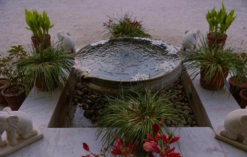 a garden with a fountain with plants in it at The Rawla Narlai - A Luxury Heritage Stay in Leopard Country in Nārlāi