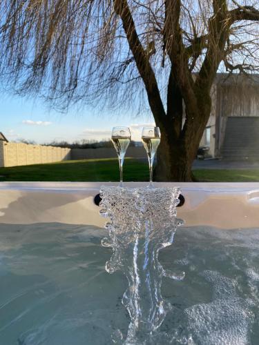 - deux verres de vin assis dans une piscine dans l'établissement auberge du pied des monts, à Grivy-Loisy