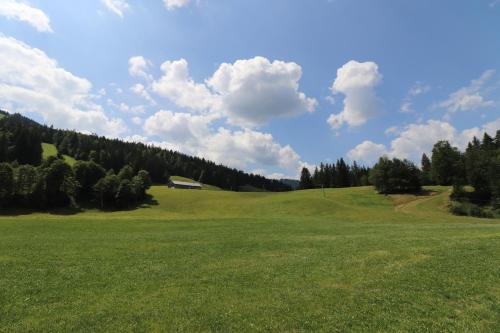 Gambar di galeri bagi Schelpenalp Berghotel Balderschwang di Balderschwang