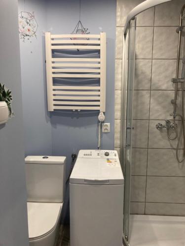 a bathroom with a toilet and a sink and a shower at Habibi Plac Ratuszowy in Jelenia Góra