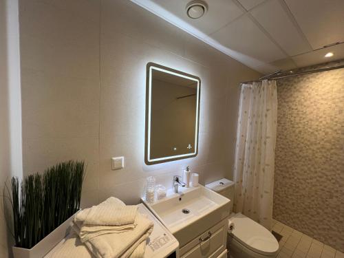 a bathroom with a sink and a toilet and a mirror at Apartment Kvartsi in Tartu