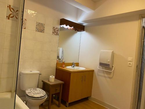 ein Badezimmer mit Toilette und Waschbecken in der Unterkunft Le fleuri ensoleillé de Guzet in Ustou