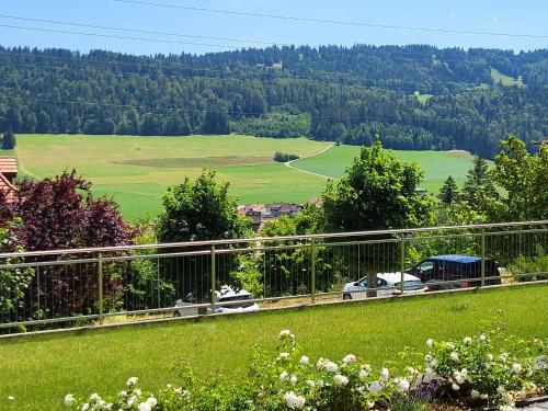 a view of a green field from a fence at Les petits Rosiers in Tramelan