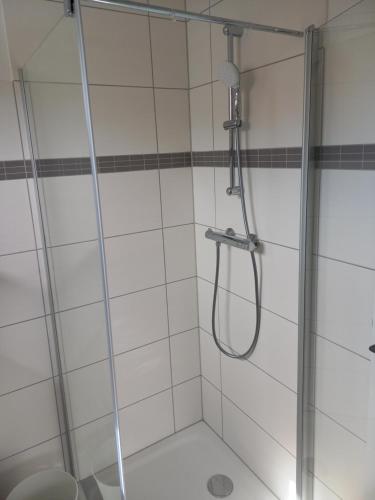 um chuveiro com uma porta de vidro na casa de banho em Privatzimmer an der Büffelweide em Gmünd