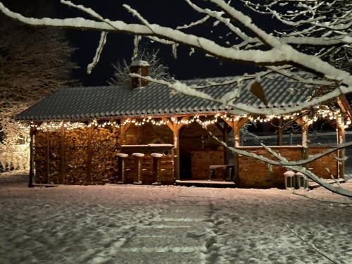 a gazebo covered in christmas lights in the snow at Agroturystyka BM Horse 