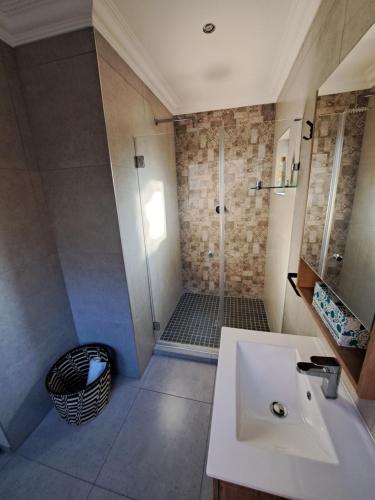een badkamer met een douche en een witte wastafel bij Greenhouse in Boksburg