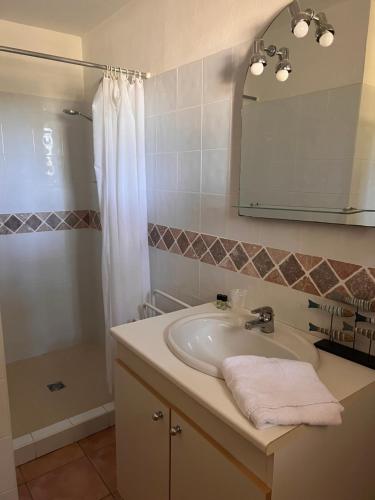 une salle de bain avec un lavabo, une douche et un miroir dans l'établissement Maison Pinarellu plage à pieds, à Zonza