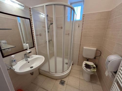 y baño con ducha, lavabo y aseo. en Örömvölgy Vendégház, en Bózsva
