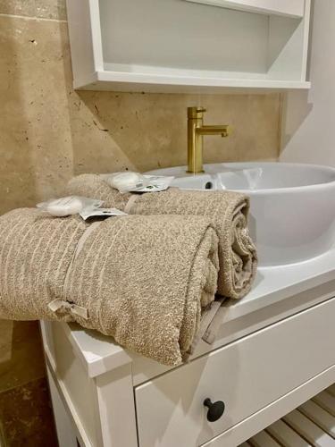 La salle de bains est pourvue d'un lavabo et d'une serviette. dans l'établissement Les Amourettes, à Rouen