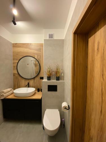 uma casa de banho com um lavatório, um WC e um espelho. em Apartament Mech & Paprocie em Ustrzyki Dolne