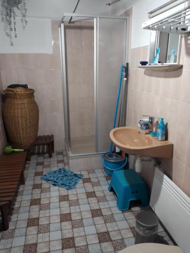 uma casa de banho com um chuveiro, um lavatório e um WC. em Harmat Porta em Galambok