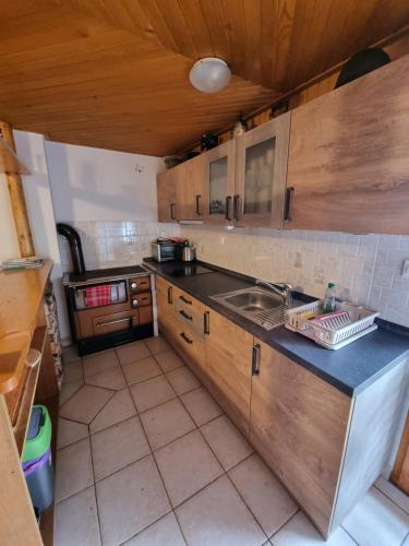 eine Küche mit einer Spüle und einer Arbeitsplatte in der Unterkunft Mountain apartment Uskovnica in Bohinj