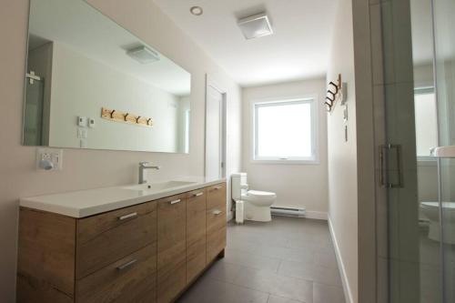 een badkamer met een wastafel, een toilet en een raam bij Le Vaillant du Massif in Petite-Rivière-Saint-François