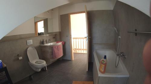 a bathroom with a toilet and a sink and a shower at Ferienwohnung Fernblick in Saalfeld