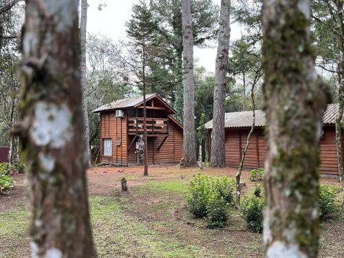 a log cabin in the middle of a forest at Hotel Cabanas Glamour in Gramado