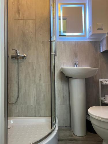カルパチにあるWilla Górskaのバスルーム(シャワー、洗面台、トイレ付)