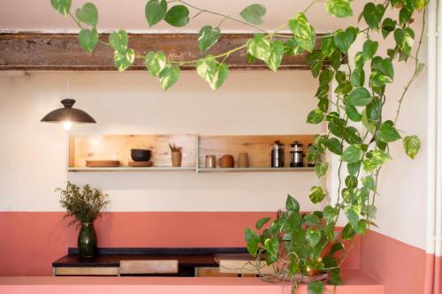 een kamer met een bank en een plank met planten bij Hotel San Fernando in Mexico-Stad