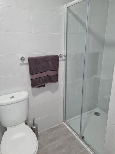 La salle de bains est pourvue de toilettes et d'une douche en verre. dans l'établissement sea view apartment, à Letterkenny