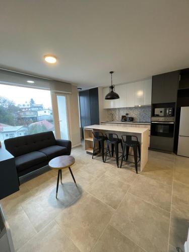 eine Küche und ein Wohnzimmer mit einem Sofa und einem Tisch in der Unterkunft Epicentro Suites Apart Hotel - Valdivia in Valdivia