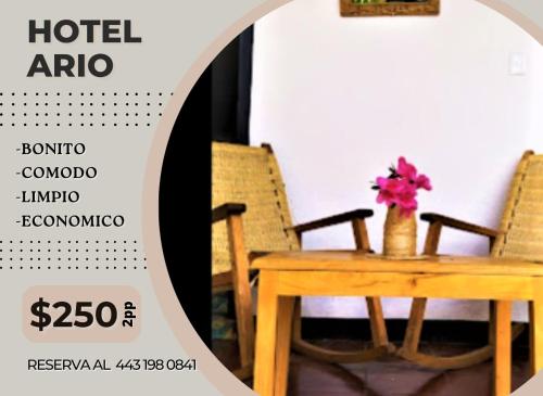 Hotel Ario في Ario de Rosales: طاولة و كرسيين مع طاولة خشبية و ورد