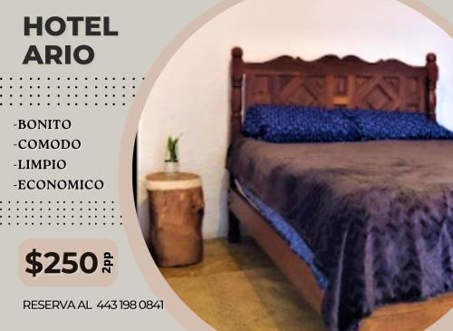 Cartel de un dormitorio con cama en una habitación en Hotel Ario en Ario de Rosales