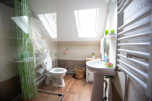 a bathroom with a sink and a toilet and a window at Cabana Transilvania in Beliş