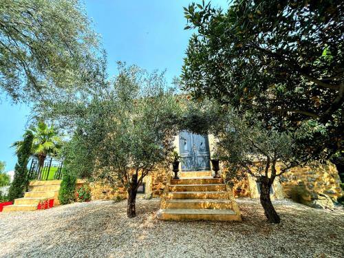 a set of stairs leading to a blue door between two trees at Villa Napoléon Piscine&Jacuzzi in Le Somail