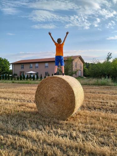 a boy standing on top of a large hay ball in a field at Agriturismo Campi Di Grano in Roncade
