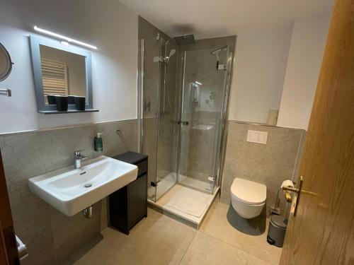 ein Bad mit einer Dusche, einem Waschbecken und einem WC in der Unterkunft Hotel und Restaurant zum bunten Hirsch in Mirow