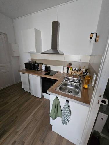 uma pequena cozinha com um lavatório e um fogão em Le Verdun - centre Pau - calme em Pau