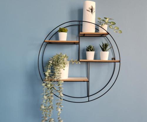 a black round shelf with potted plants on a blue wall at Imperial Suites Heart Of Margate! sleeps 6 in Kent