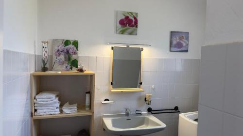 une salle de bain avec un lavabo et un miroir dans l'établissement Villa entière au calme dans village provençal, à Peymeinade