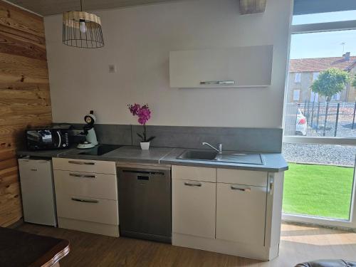 une cuisine avec un évier et un plan de travail dans l'établissement Hébergement atypique refait a neuf 2 chambres, à Coulanges