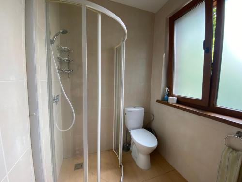 a bathroom with a shower and a toilet and a window at Apartamentai su jaukiu kiemu- SOLEY APARTAMENTAI No1 in Palanga