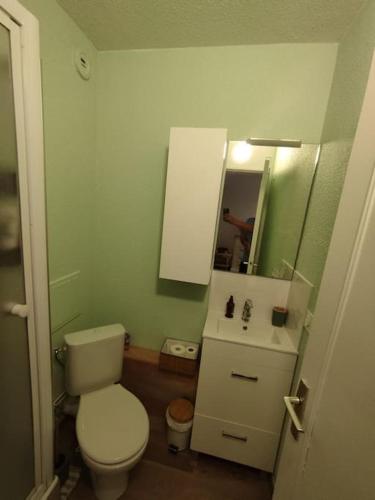 une salle de bain avec toilettes, lavabo et miroir dans l'établissement Au charme de St Georges, à Saint-Georges-de-Didonne