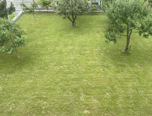 Κήπος έξω από το Apartmán Košice
