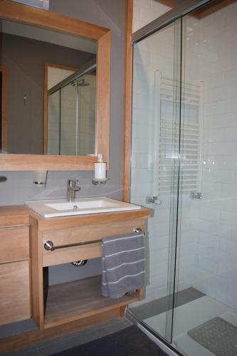 a bathroom with a sink and a shower at Monoambiente Céntrico in San Martín de los Andes