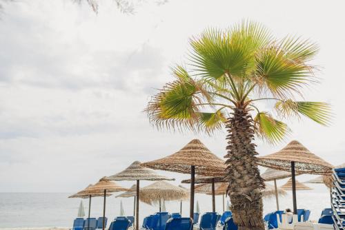 una palmera en una playa con sillas y sombrillas en Villa Yianna, en Néa Meságkala