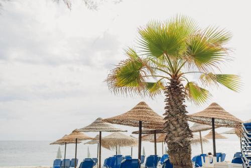 a palm tree on a beach with chairs and umbrellas at Villa Yianna in Nea Mesangala