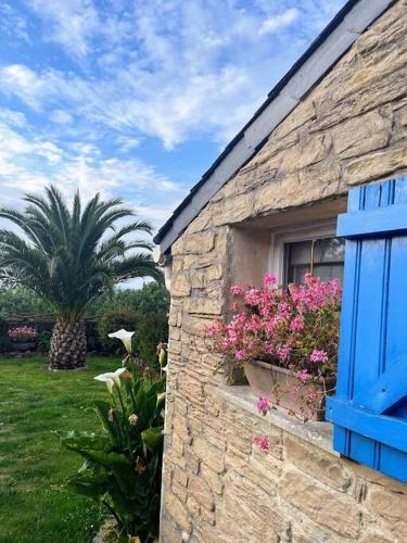 Taman di luar Maison conviviale 8 personnes, vue mer, animaux acceptés