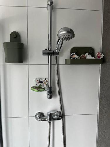 a shower with a shower head in a bathroom at Chalet Boerenbries - Heerlijk chalet met overkapt terras en 2 slaapkamers - max 4 pers - 3 km van Noordzee - locatie op camping Moorhoek 5 in Rockanje