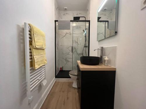 une salle de bain avec toilettes et douche en verre dans l'établissement Le Castelet - Paisible T2 proche métro, à Toulouse