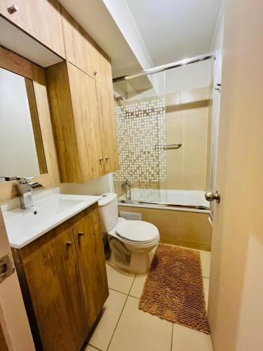 a bathroom with a toilet and a sink and a shower at Excelente Departamento en Penco, cerca de la playa, del centro y de la plaza in Penco